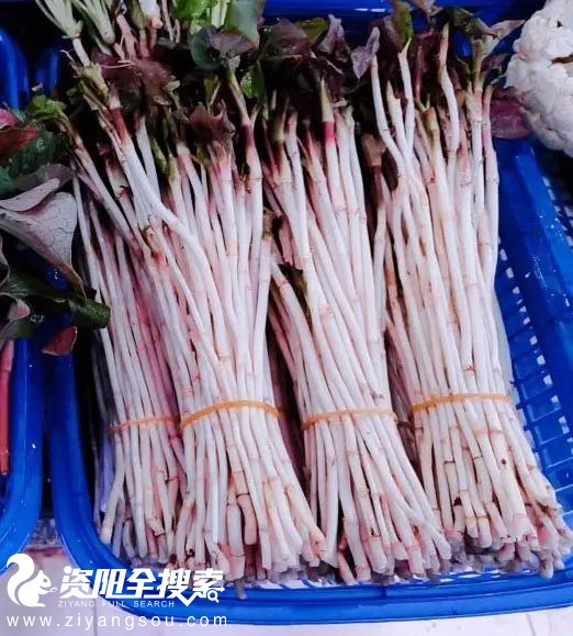 全中国最意思意思的地方：四川菜市场