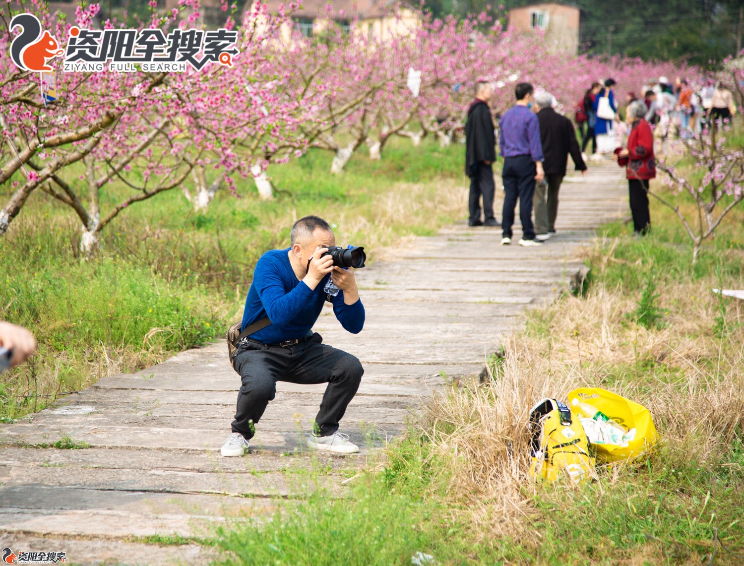 【资阳第六届赏花活动】桃花林中的摄影师们也成了风景